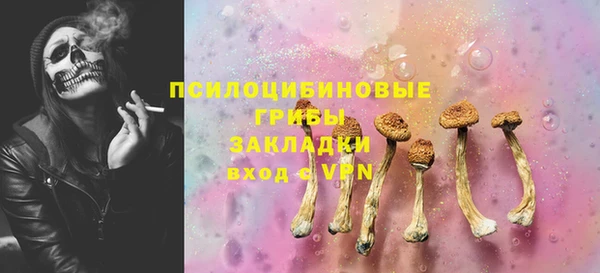 СК Бородино