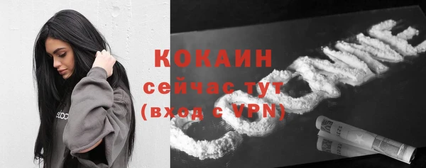 СК Бородино