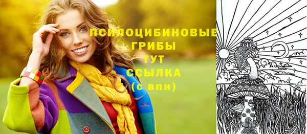 СК Бородино