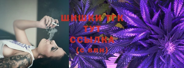 СК Бородино