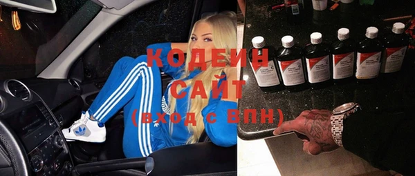 СК Бородино