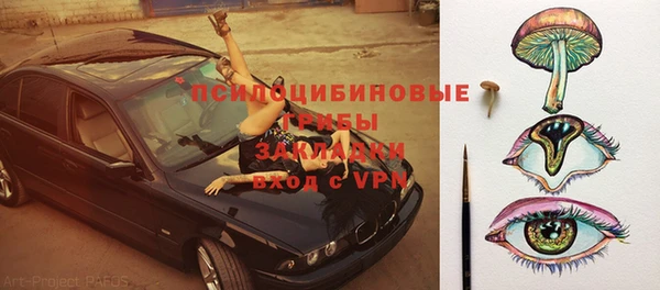 СК Бородино