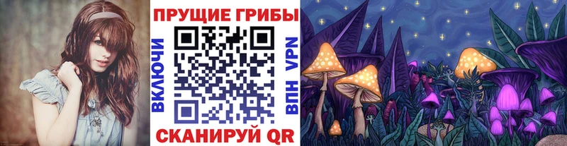 купить Кинешма Псилоцибиновые грибы ЛСД