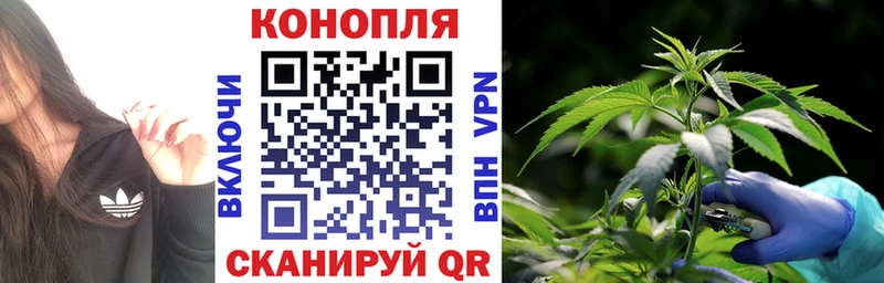 Бошки Шишки Amnesia  где найти наркотики  Кинешма 